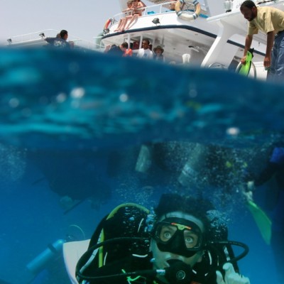 red sea diving